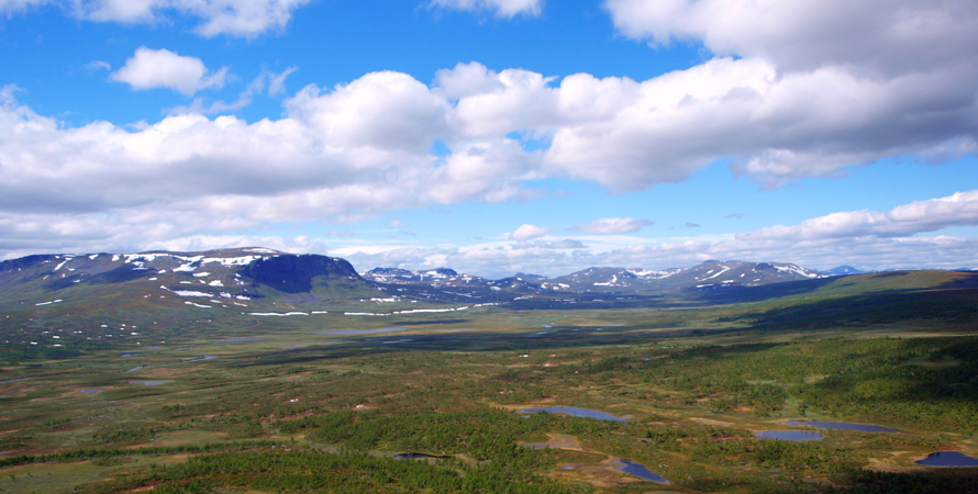 bild på naturen 